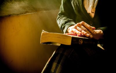 Lectores sensibles, ¿sirven para algo?