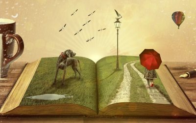 Terminología de las partes de un libro