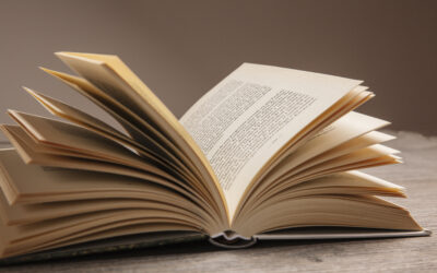 El libro perfecto no existe
